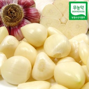 국내산 무농약 깐마늘(대) 3kg