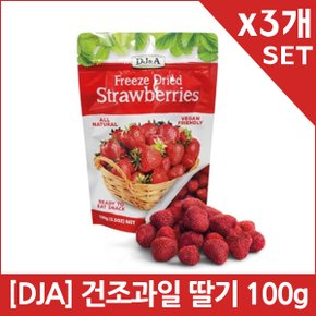[DJA] 건조과일 딸기 100g X3개