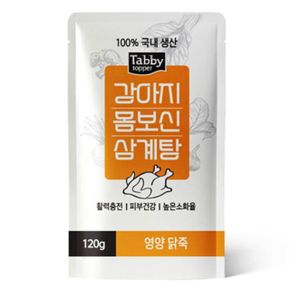 태비 강아지몸보신삼계탕/영양닭죽