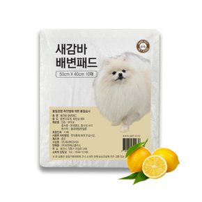 브이펫 새감바 휴대용 애견배변패드 10매 / 레몬향