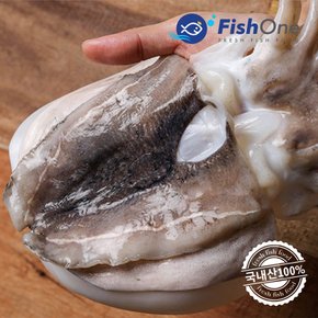 국내산 손질갑오징어(소) 3kg(16-18마리)급냉