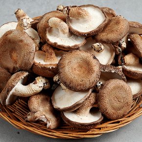 무농약 생표고버섯 파지 2kg