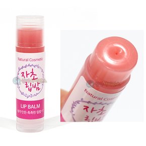 촉촉한 자초 립밤 만들기(1인용 포장) 입술건조 방한 용해와용액 물질의구성 립글로스 립케어 립