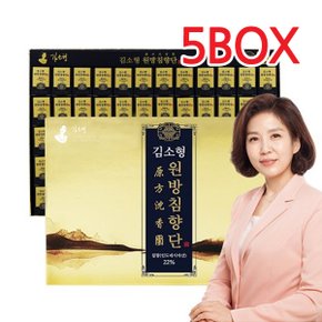 김소형 원방침향단 3.75g x 100환 (쇼핑백증정) 5BOX