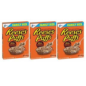 [해외직구]Reeses Puffs Chocolate Peanut Butter Cereal 리세스 퍼프 초콜릿 피넛버터 시리얼 586g 3팩