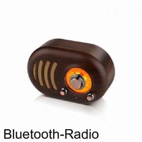 캔스톤 TR-1100 블루투스 라디오 스피커