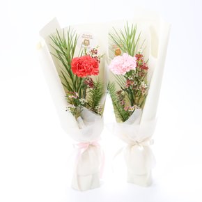 카네이션 세트 꽃선물 꽃다발 어버이날 스승의날 생일선물 프로포즈 꽃배달