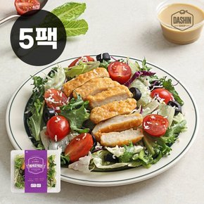 탄단지 균형잡힌 프리미엄 도시락 한스푼샐러드 케이준치킨 5팩 (무료배송)