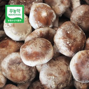 두메골 영양 무농약 버섯 착한 송이 500g 가정용
