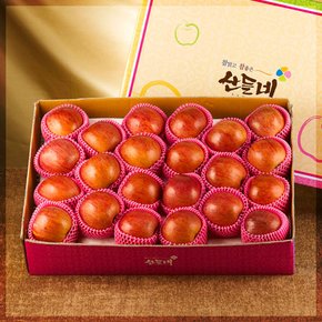 [경상북도][달고 맛있는 경북 사과]산들네 꿀맛 사과 5kg 22과내외