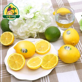 미국산 팬시 레몬 특대과 115과 17kg 대용량