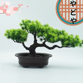 일본 소나무 인조 미니 소나무 분재 생화같은 인테리어 조화 나무 도매 화분 집들이료칸이자카야