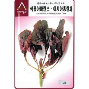 식용아마란스 채소 씨앗 홍현채 비름 모종 3g X ( 2매입 )