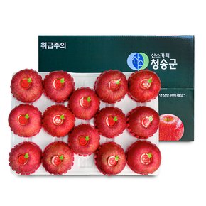 [오늘신선] 경북 청송 선물 프리미엄 과일선물 사과세트 5kg(14-15과내)