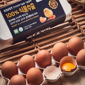 [한솔양계 맘란] 무항생제 유정란 대란 30구  /폴리페놀나노코팅 KAIST 계란 달걀