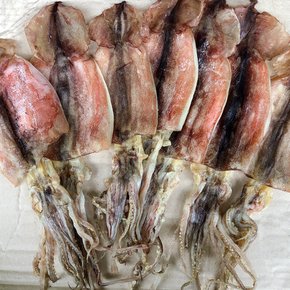 동해안 햇 반건조오징어 10마리(소) 1kg 피데기오징어