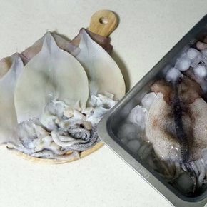 [가을바다] 영덕 오징어덕장 손질오징어 1.5kg(11마리 내외)