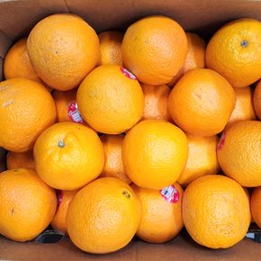 실속형 카라카라 오렌지 5kg (사이즈랜덤)
