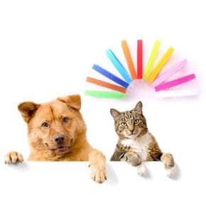 PET 새끼 강아지 목걸이 인식표 고양이 탯줄 컬러 네임택 출산 준비물 12색 X ( 2매입 )