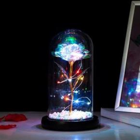 아트박스/갓샵 홀로그램 장미 LED 유리돔 [플라워 꽃 투명 크리스탈 글라스돔 무드등]