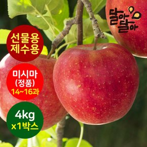 경북 정품사과 미시마 부사 4kg(14-16과) 1박스 선물용 제수용