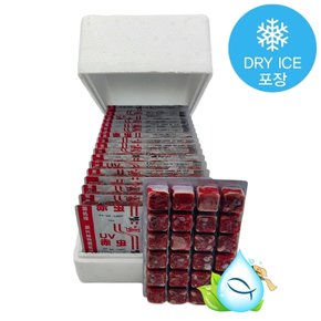히카리 UV 냉동장구벌레 히카리 냉짱 18팩(1박스) 드라이아이스포장