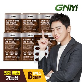 GNM 프로폴리스 플러스 아연 비타민D 6박스 (총 6개월분) / 비타민B 판토텐산