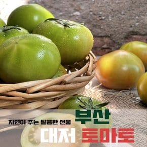 당도보장 당일수확 부산특산물 부산대저 토마토 2.5kg 중과 M (15-22개)
