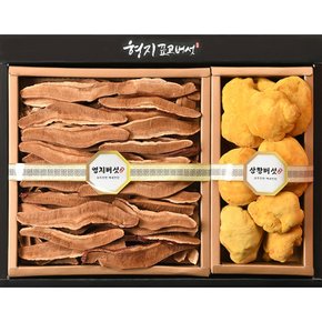 [형지표고버섯] 상황버섯 영지버섯 명품4호 건강 선물세트