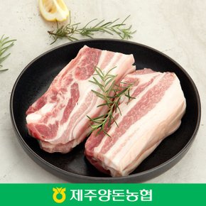 [제주양돈농협] 제주 흑돼지 오겹살 500g / 구이용