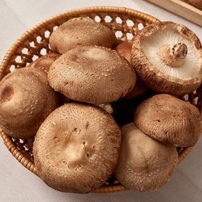 [오늘출발] [산지직송] 무농약 생표고버섯 중품 1kg