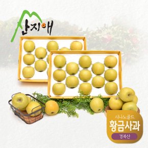 산지애 황금사과 시나노골드 3kg 2box / 중과, 경북산 , 당도선별 12brix ↑