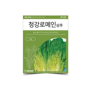 베하몰 텃밭 채소 씨앗 청강 로메인 상추