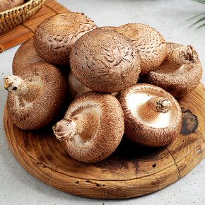 무농약 생표고버섯 상품 2kg