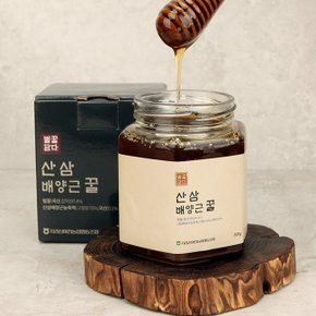 [지리산 마천농협] 지리산 산삼 배양근 꿀(병) 500g