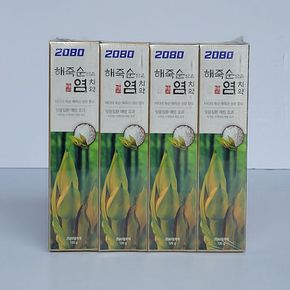 애경 2080 염치약 120g(4입)