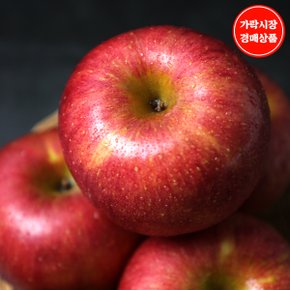 거품비+유통마진 없는[가락시장 새벽 경매상품] [국산]사과 5kg내외(14~16입내)