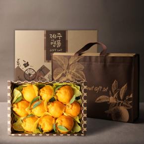 [과일선물세트] 한라봉 선물세트 3kg(9~10개) 부직포 가방