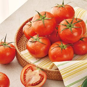 [스마트팜] 유럽종 완숙 찰 토마토 2.5kg