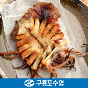 포항 구룡포 반건조 오징어(피데기) 10미(900g내외)