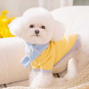 강아지 귀여운 화사한 곰돌이 패치 디자인 티셔츠 옷