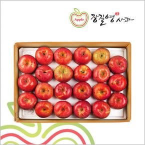 사과 알뜰 중소과 4kg(13~19과)