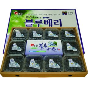 [영동 블루베리농장] 햇 블루베리 (특대) 1kg 선물용 (100g x 10팩)