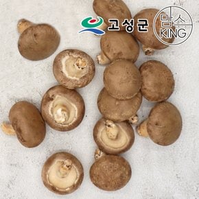 고성 웅이표고농장 생표고버섯(생표고/중품2kg)