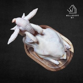 [웰굿] 전남 제수용 암닭(1.5kg-1.7kg)