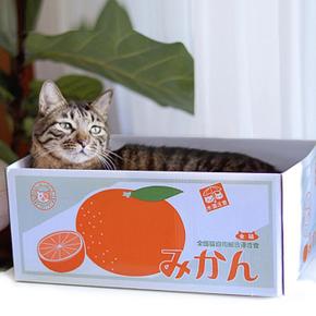 감귤 박스 고양이스크레쳐 고양이 집 스크래치 (S10987318)