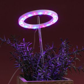 인테리어조명 엔젤링 화분 식물등헤드형 LED