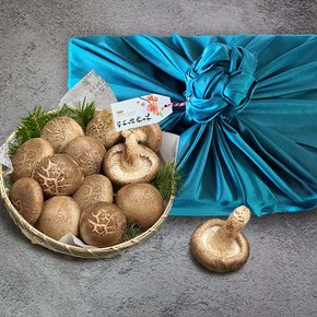충남 부여 무농약 표고버섯(동고) 선물세트 1kg