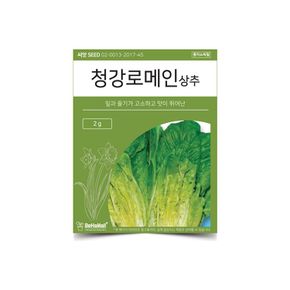 베하몰 텃밭 채소 씨앗 청강 로메인 상추