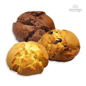 플레인/크랜베리/초콜릿 스콘 100g×10개 냉동생지 냉동빵[33426843].